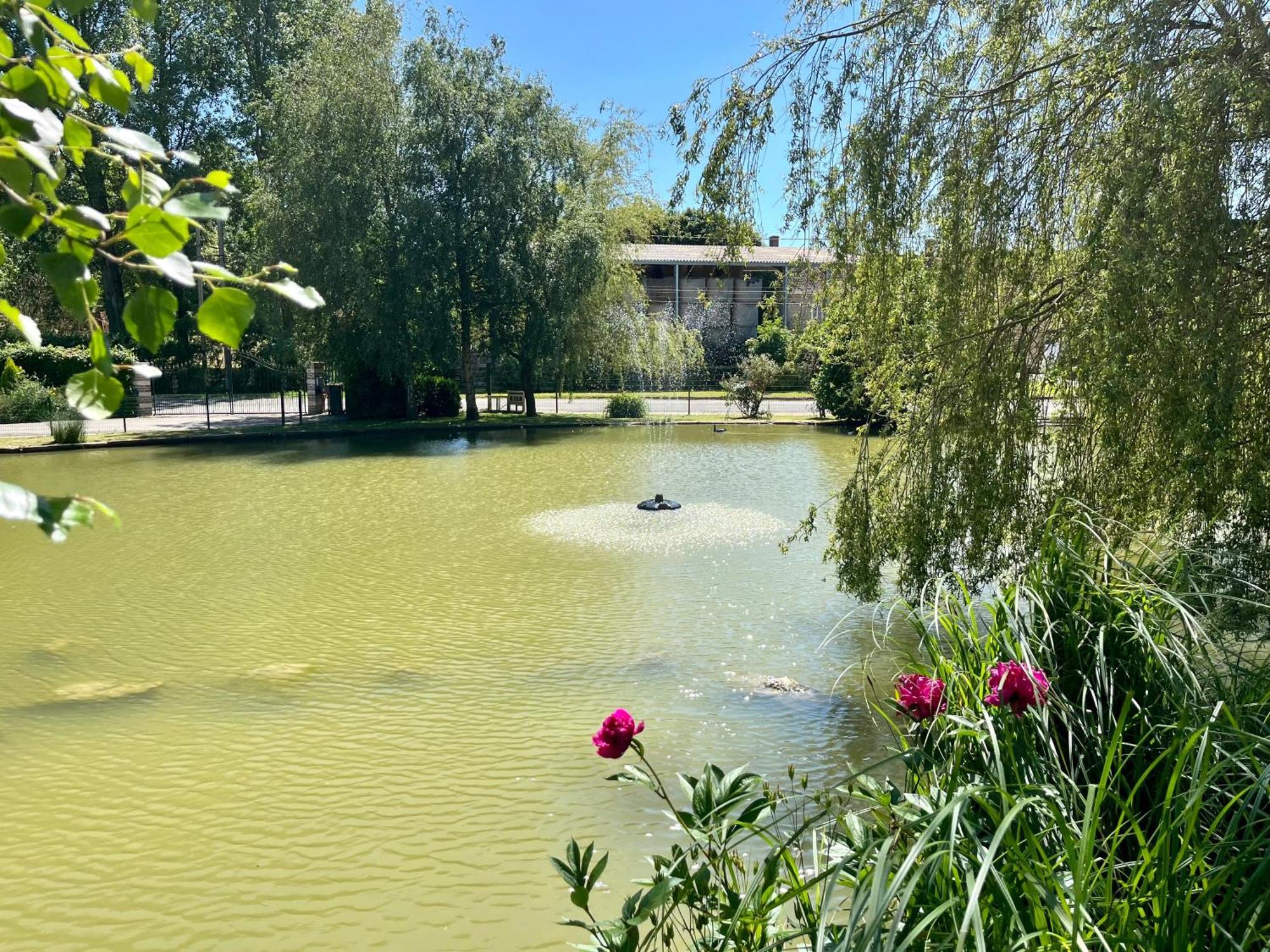 L'Etang D'Une Pause Samer Exterior foto